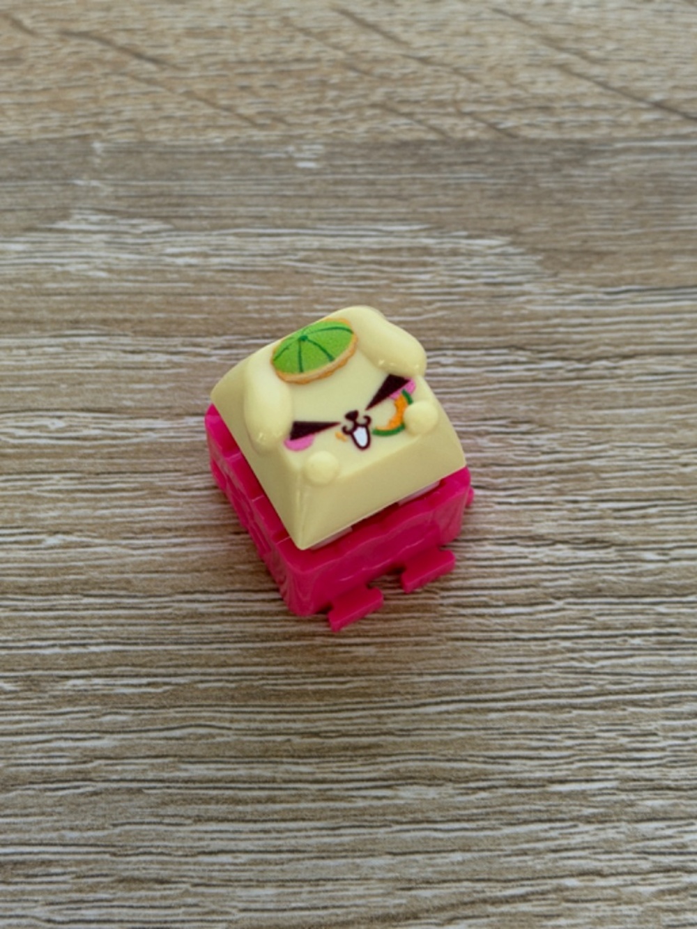 Clickeez Series 1 Hello Kitty and Friends Fruity Picnic MELONPURIN.O